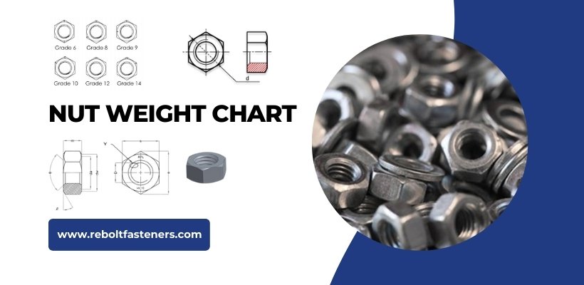 Nut Weight Chart in KG